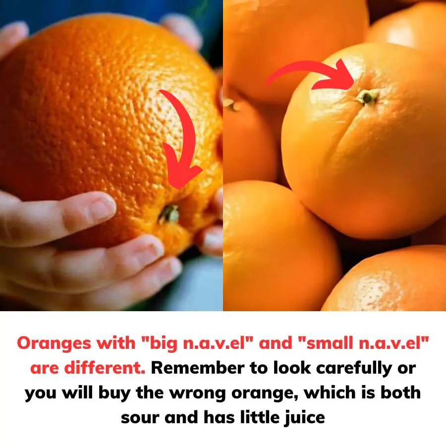 Oranges with 