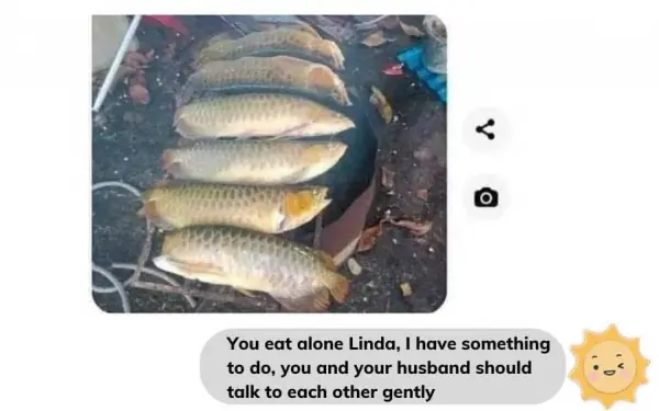 Alex said so for the following reason