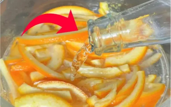 Take orange peel, grapefruit peel and soak in vinegar