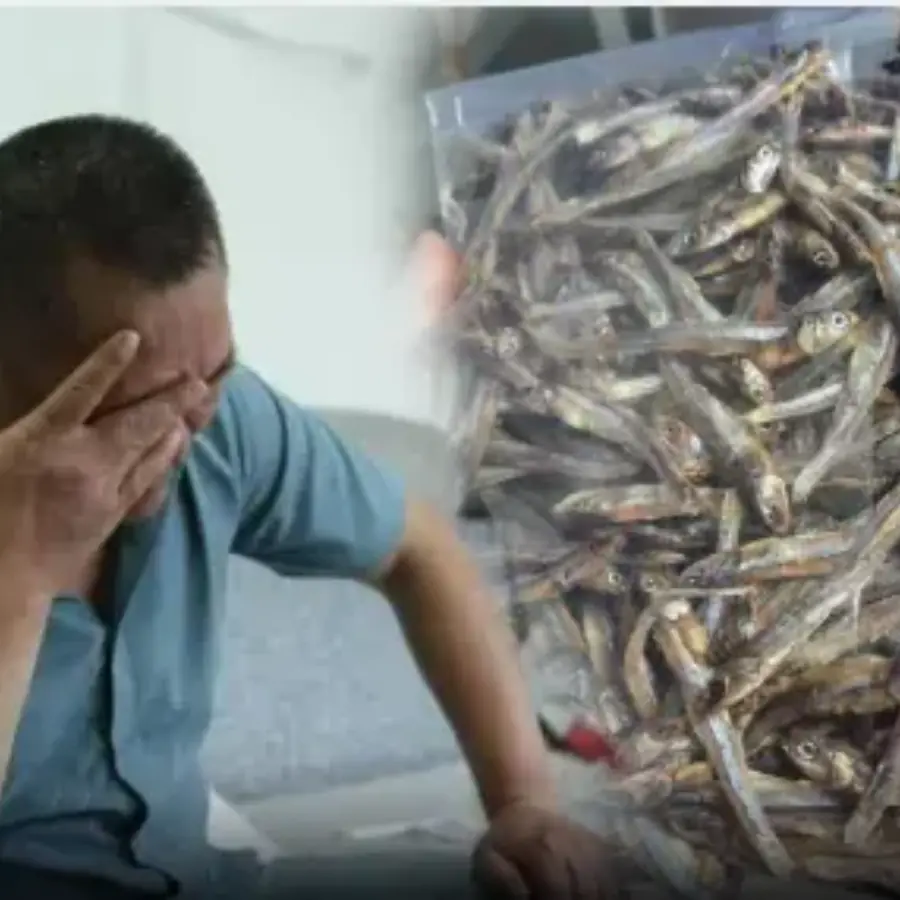 No one expected Dad's bag of dried fish...