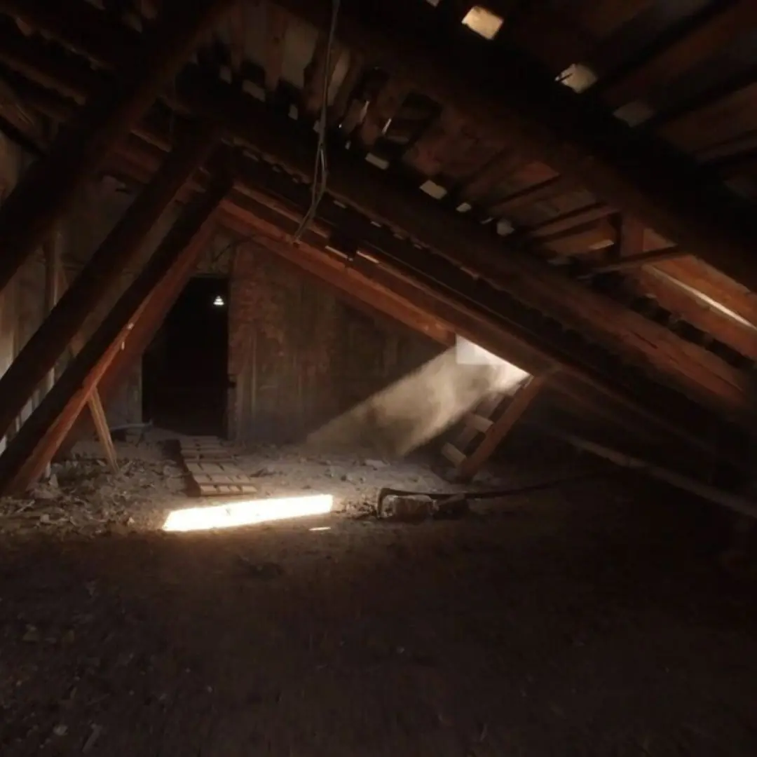 The Man in the Attic
