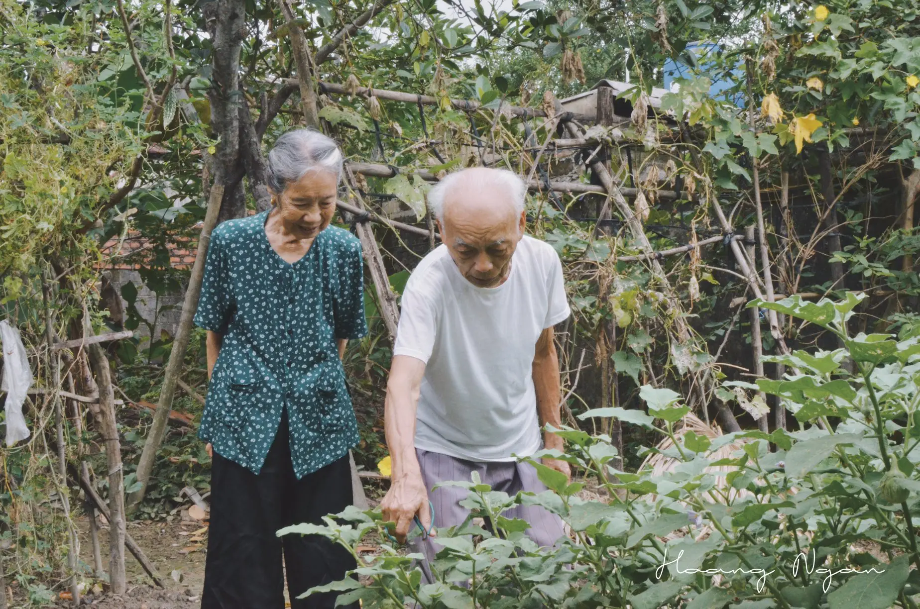 I Planted A Forgotten Garden And Uncovered Secrets That Changed My Neighborhood — And My Life — Forever