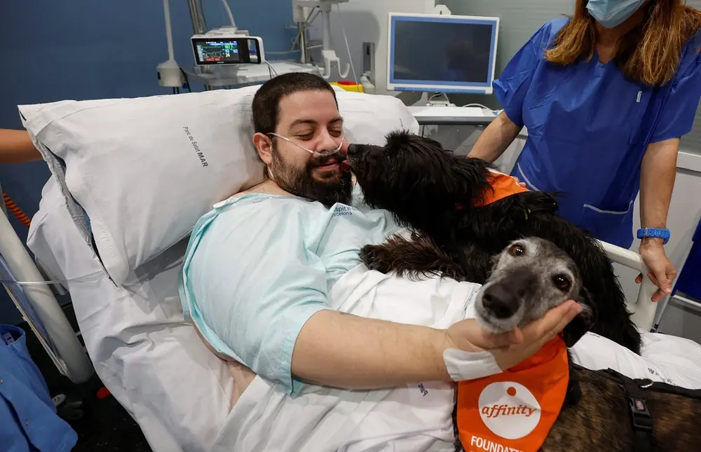 Loyal Dog’s Strange Instinct That Protected Its Owner on the Eve of a Life-Threatening Surgery