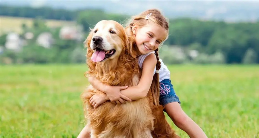 They Wanted Me to Believe My Dog Was a Threat to My Child, but Watching My Daughter With Him Revealed a Bond Stronger Than Fear