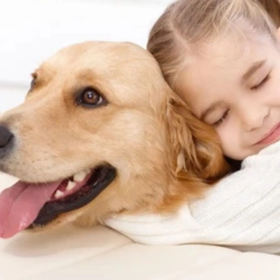 A Heartfelt Tale of Compassion: How a Sick Pit Bull Found a Loving Home