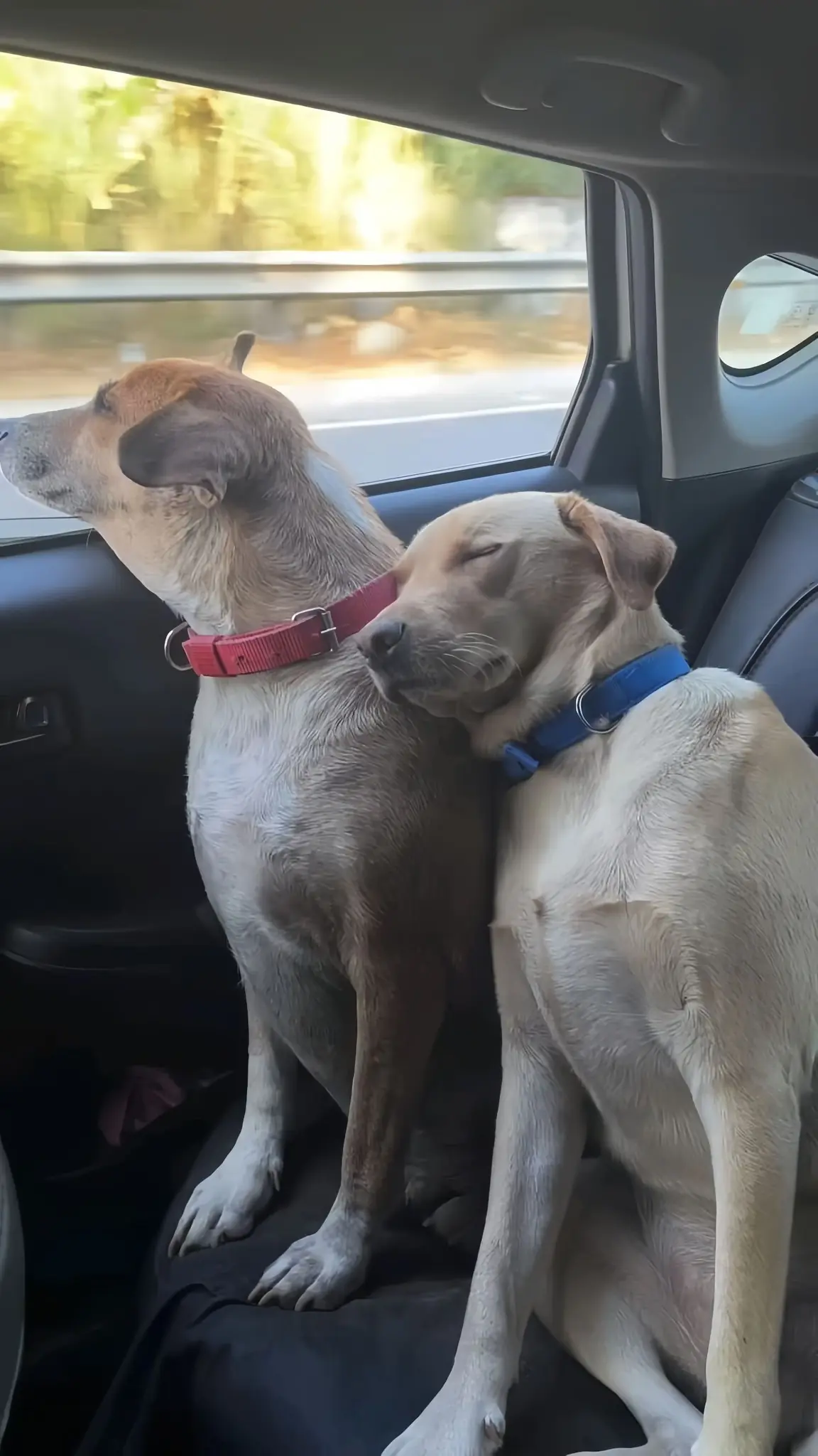 Today, our hearts grew bigger than we ever imagined