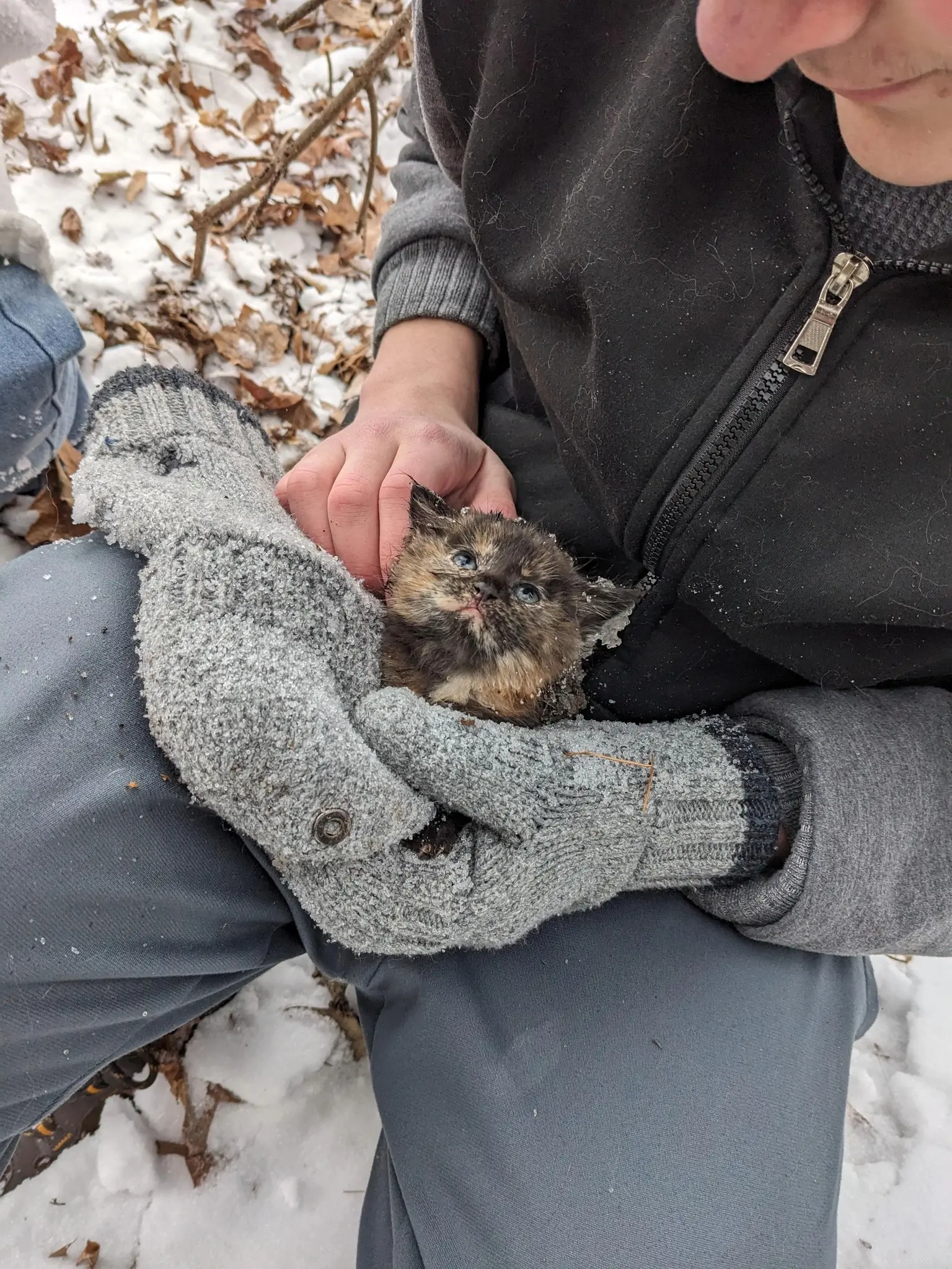 Frozen Beneath the Snow, Found by a Miracle
