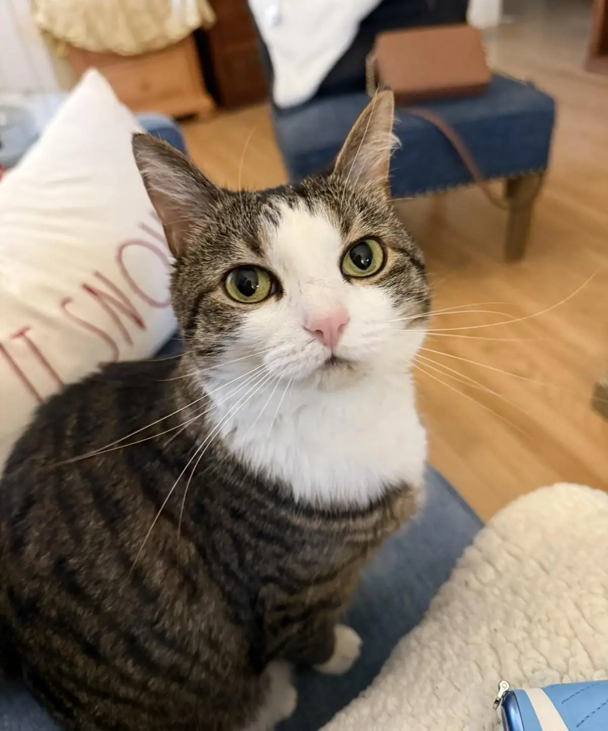 Tina: The Sweetest Gift I Never Saw Coming