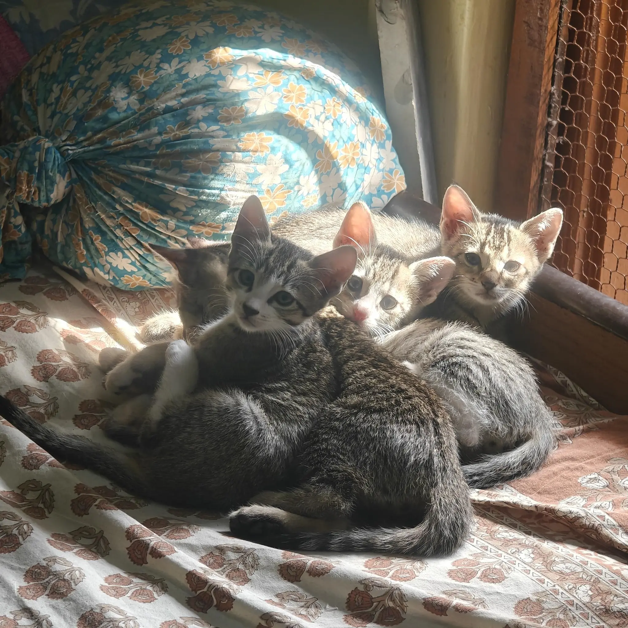 Their Last Photo Together—and the First Goodbye