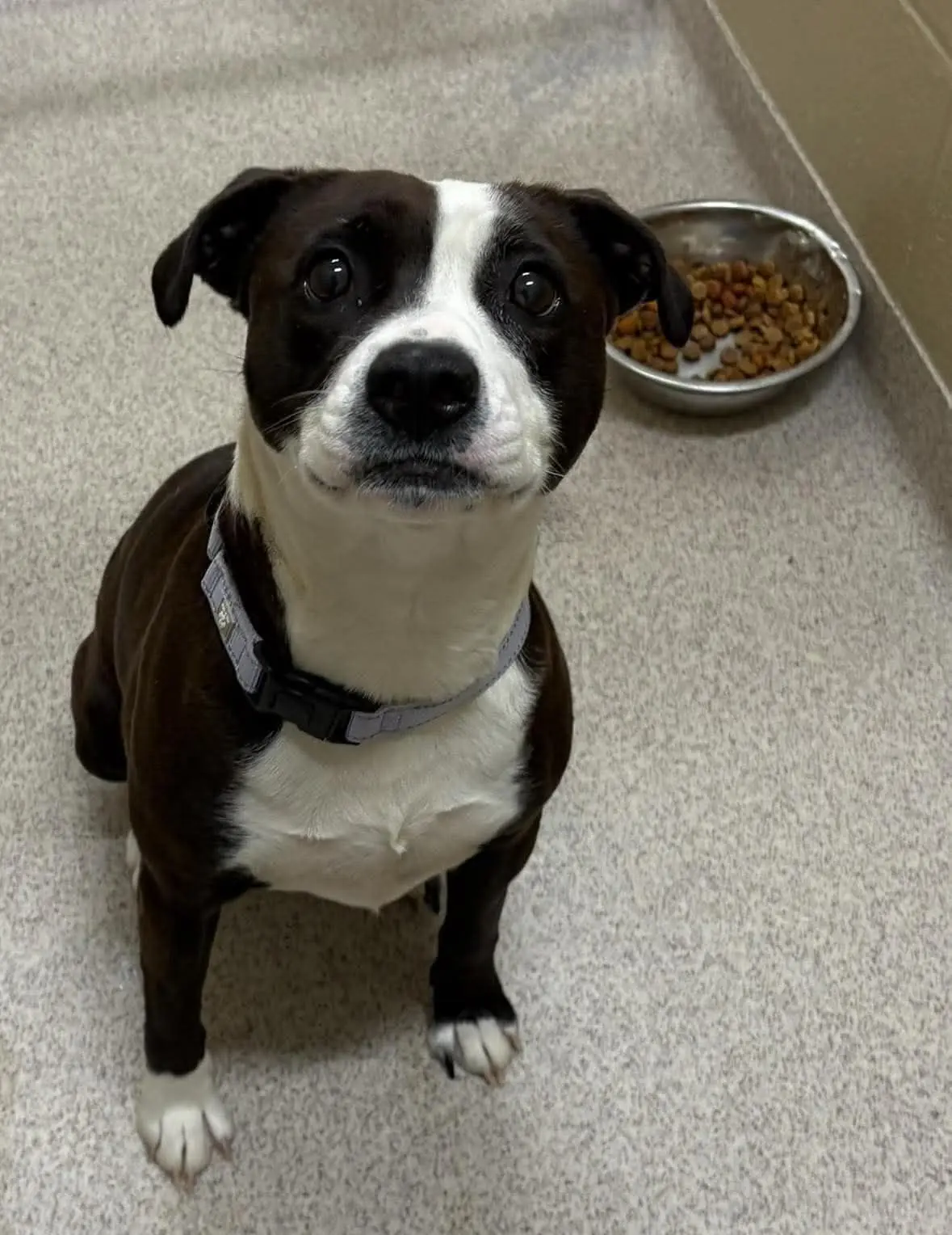 From Waiting to Home: The Day She Was Finally Chosen