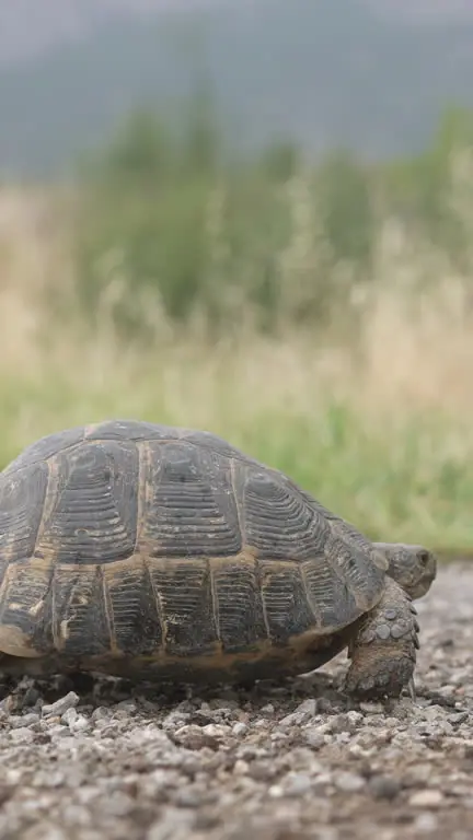 Imagine Being Born Before Electricity — and Still Casually Crunching Salad Today