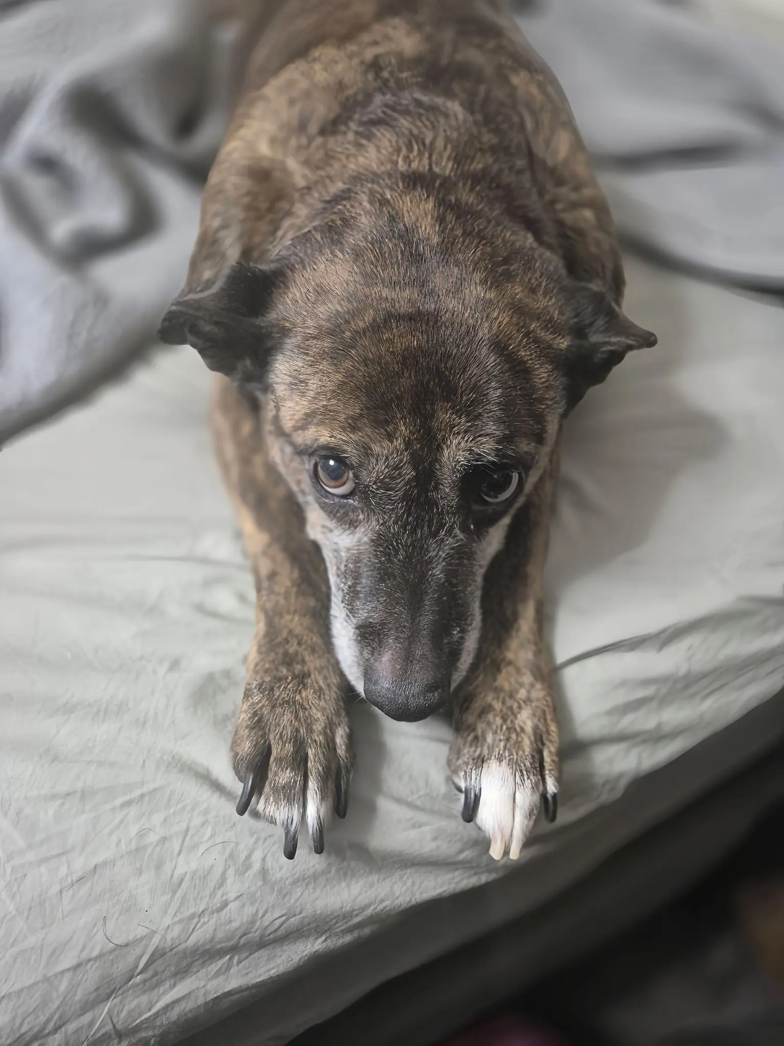 From a Shy Street Shadow to My Brave Sundai