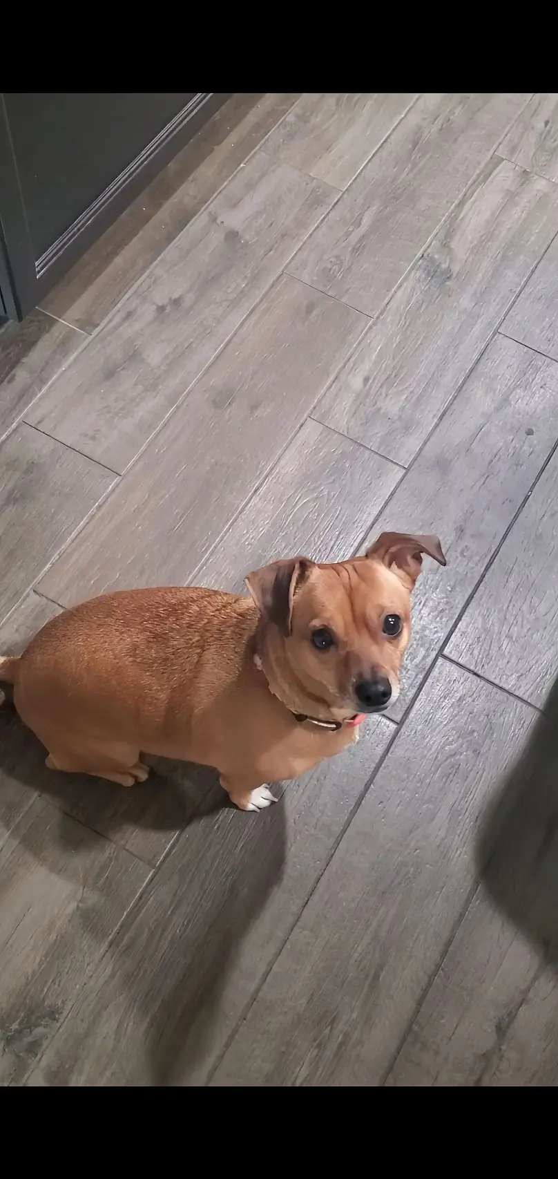 She Chose You When You Couldn’t Choose Yourself