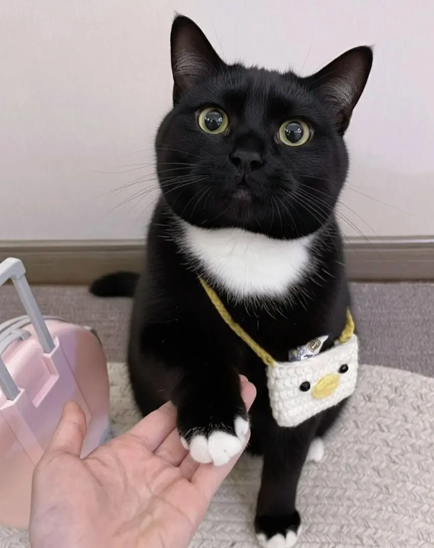 Queen Luna and the Household She Conquered