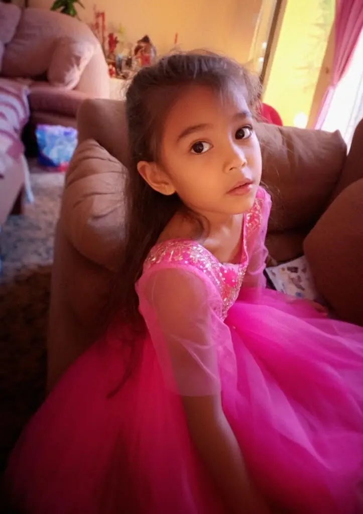 Little Girl Mocked for Her Cheap Dress — What Her Mother Did Next Left Everyone Speechless
