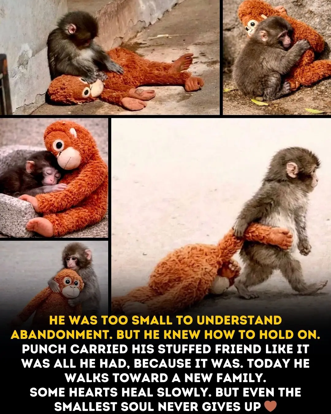 The Smallest Kind of Courage: The Story of Punch, the Baby Monkey Who Held On