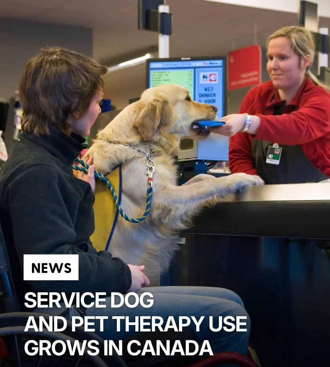 Why Support Animals Are Rapidly Increasing Across Canada — And How They’re Transforming Mental Health Care