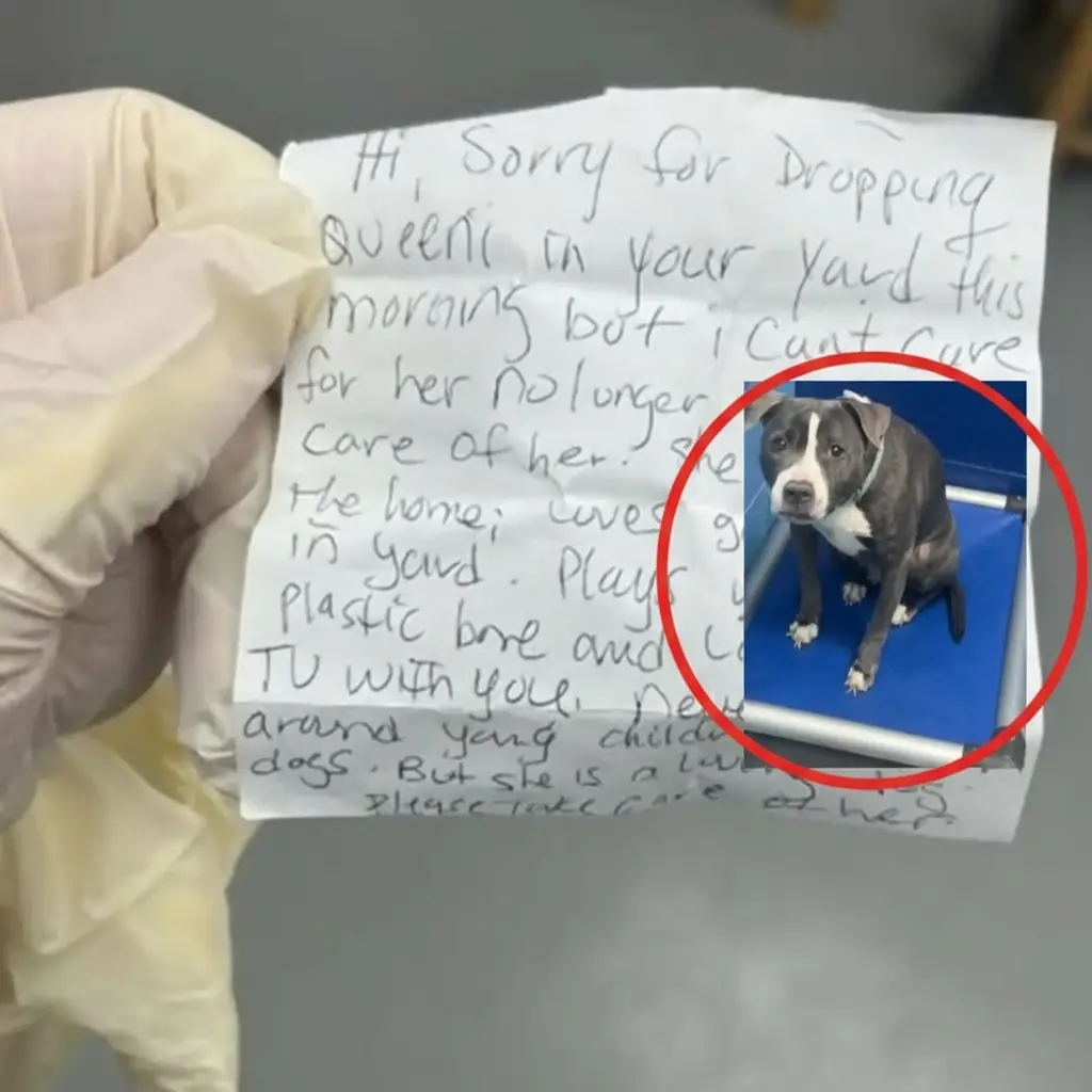 Family Finds Trembling Dog In Their Yard — And A Note That Breaks Their Hearts