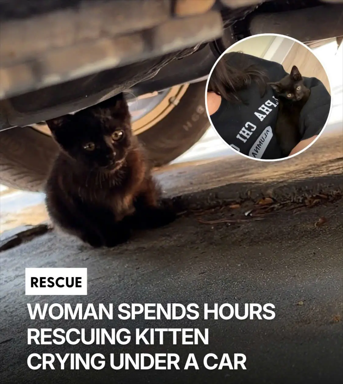 She Heard Tiny Cries Under a Car After Pilates — By the End of the Day, the Kitten Was Sleeping on Her Chest