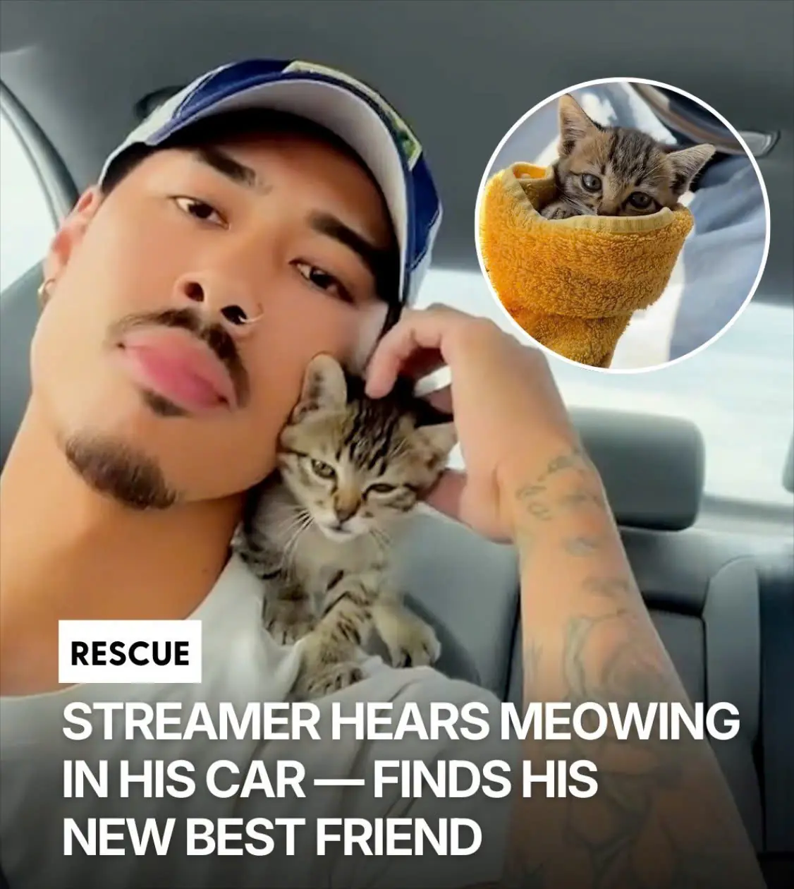 He Thought The Tiny Meows In His Car Were In His Head — Then He Found A “Spicy” Kitten Hiding Inside