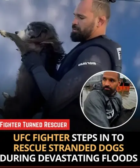 After a 54-Second UFC Victory, Michel Pereira Rushed Into Floodwaters to Rescue Animals