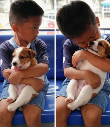 A Boy, His Puppy, and a Bus Ride That Melted Hearts