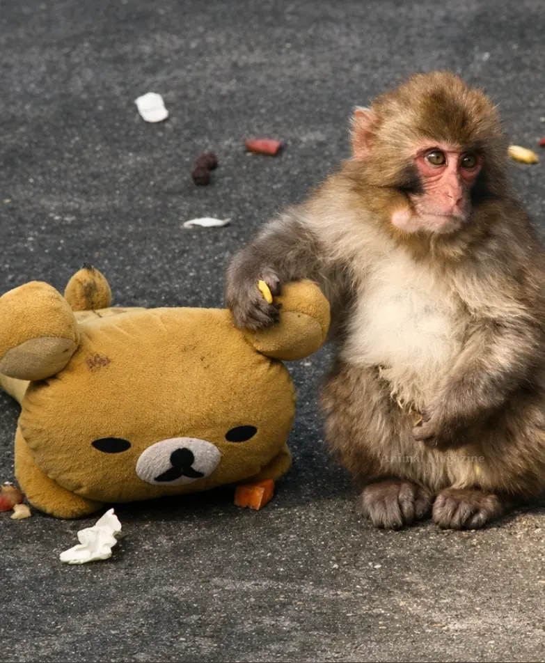 Before Punch, There Was Otome — The Forgotten Story of Comfort and Healing