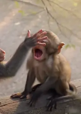 He Covered Her Eyes… What He Did Next Melted Everyone 😭✨