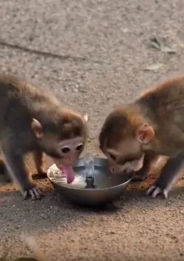He Tried to Drink Water Calmly… Then Forgot How to Breathe 😭💧
