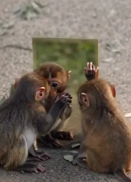 He Thought He Was Handsome… Until She “Cleaned” His Reflection Away 😭😂