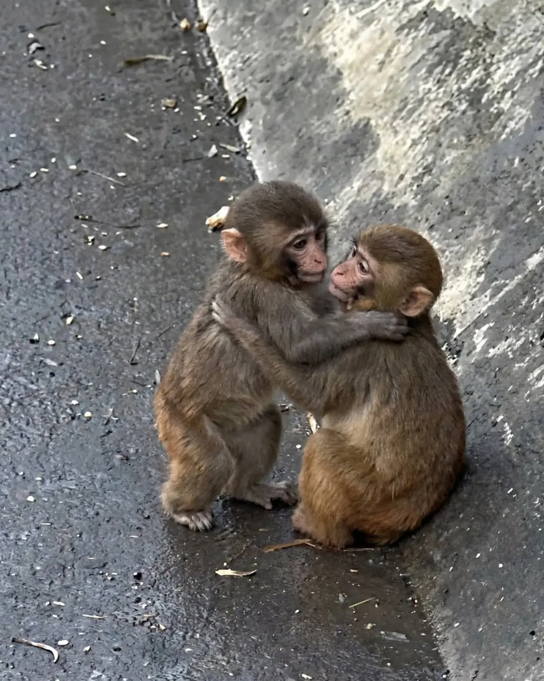 He Went Quiet… and She Knew Exactly What to Do 🥹❤️