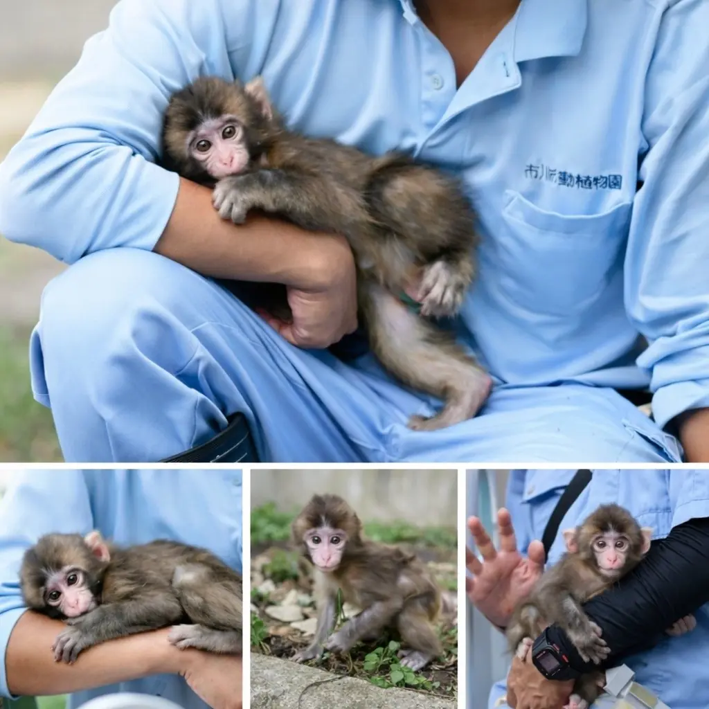 From Orphaned Baby to Everyone’s Little Sunshine