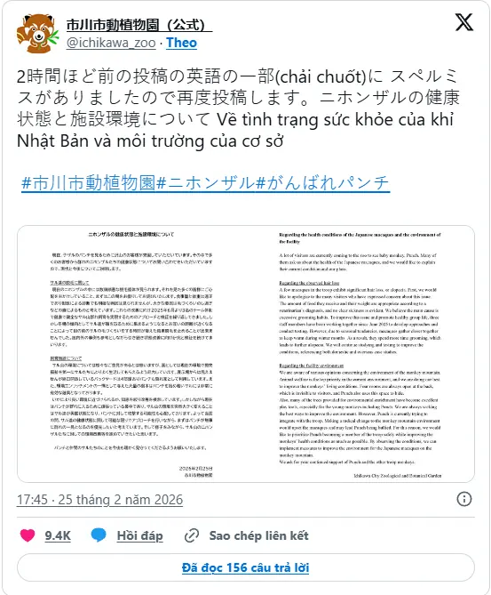 Scientists Warn: Baby Monkey Punch May Face a Tragic Future