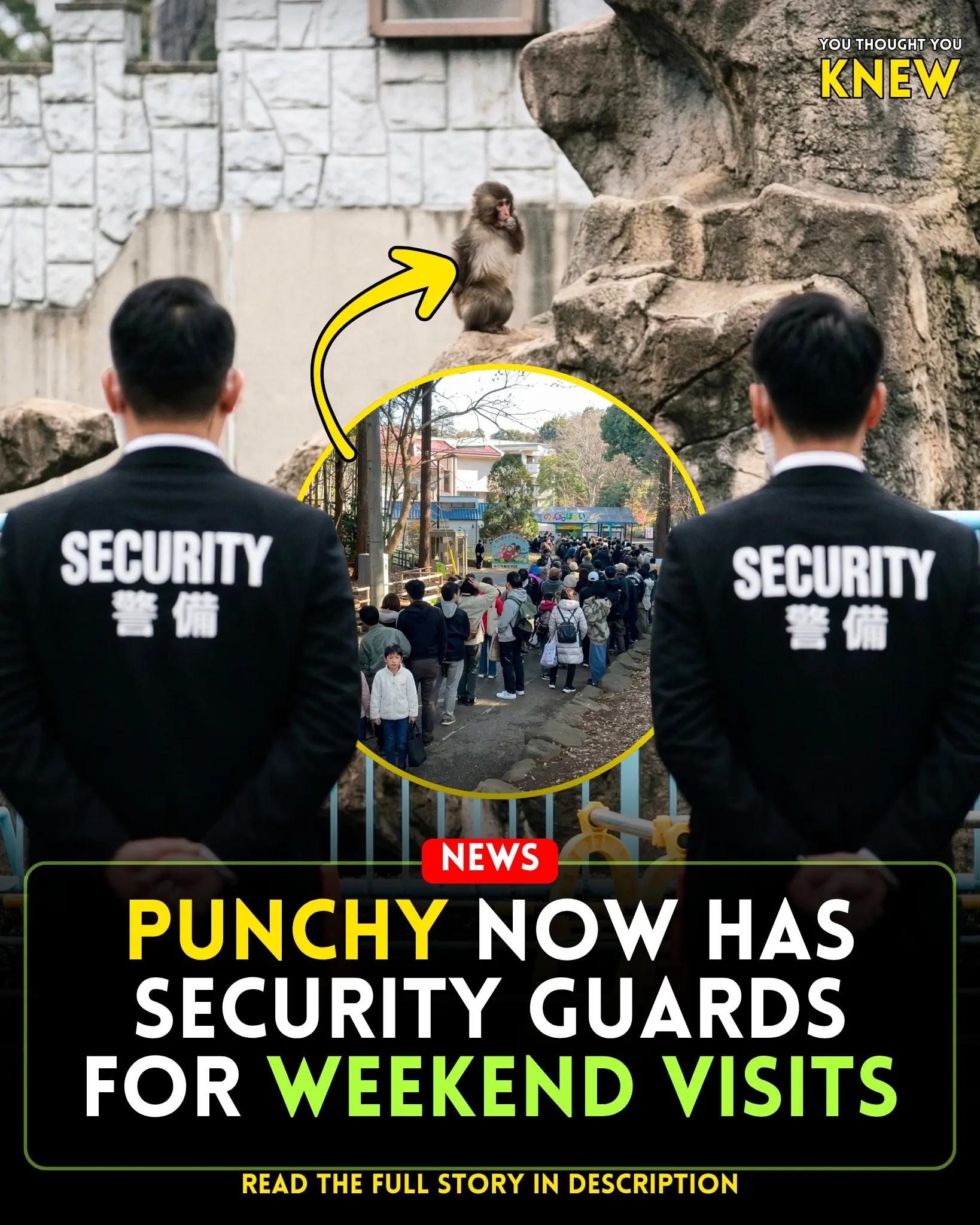 Little Punchy Turns VIP: Personal Protection for the Beloved Baby Monkey