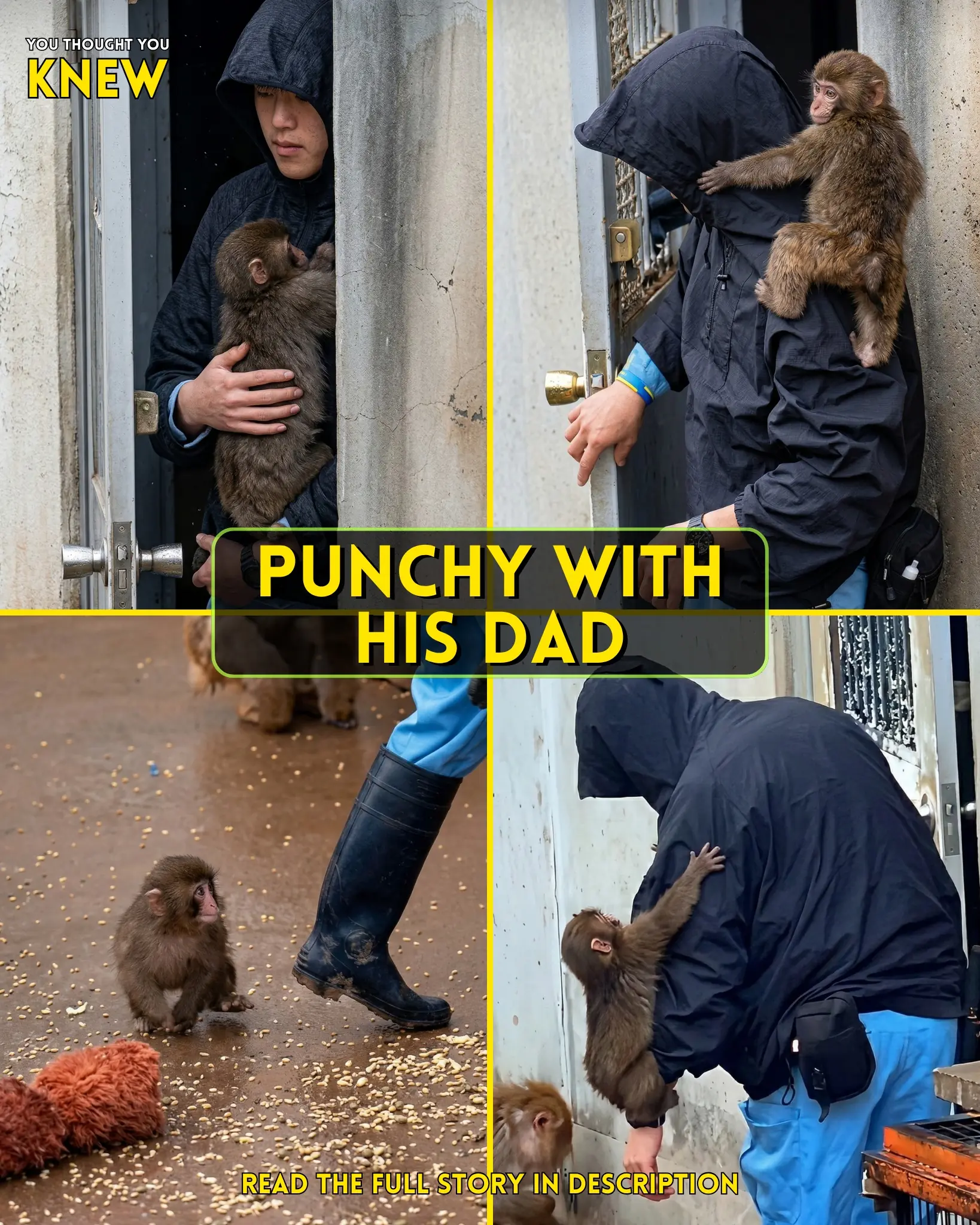 Little Punchy and His Zookeeper Dad: A Heartfelt Story of Trust and Recovery
