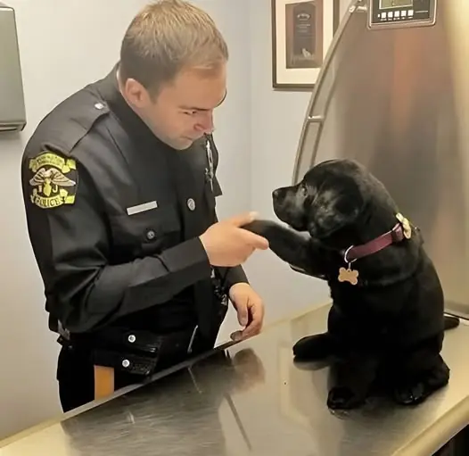 Shadow: From Abandoned Puppy to Beloved Healing Companion for Officers