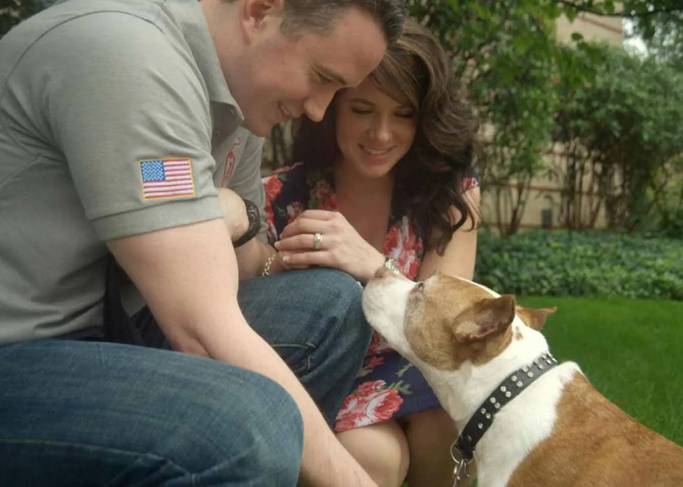 Loyal Beyond Words: True Stories of Dogs Saving Lives and Changing Fate Forever