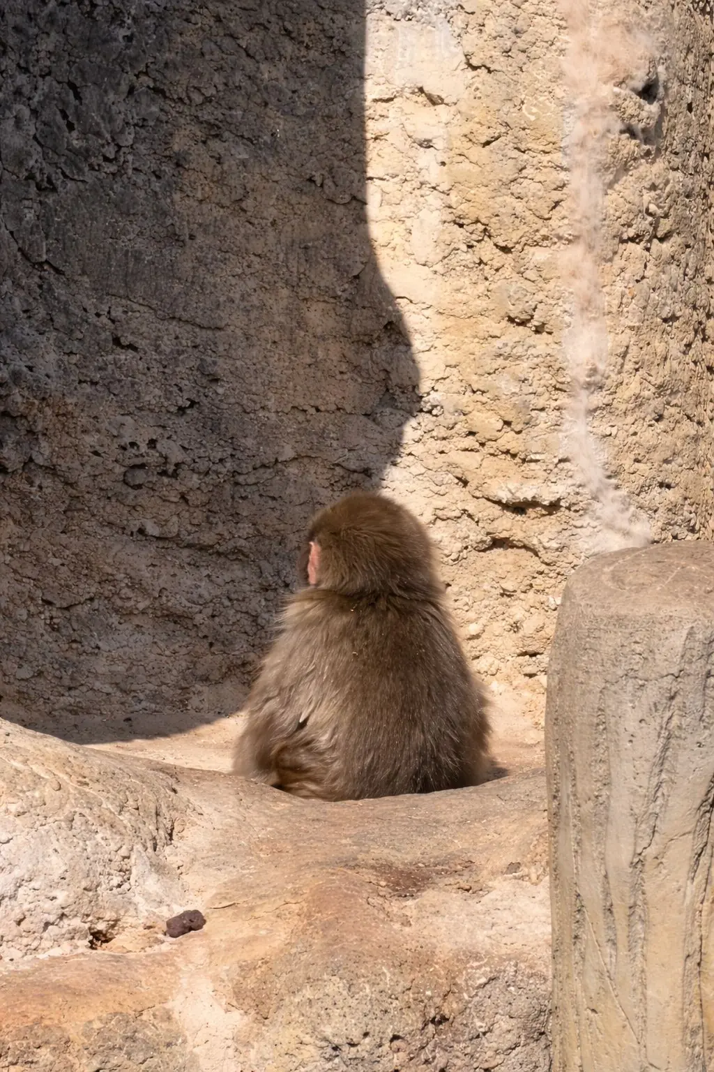 He’s Not Playing — He’s Learning to Be Alone: The Quiet Story of Punch-kun