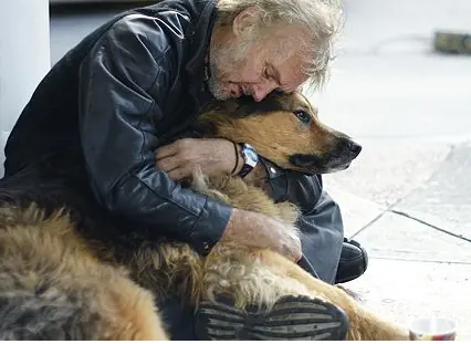 Silent Heroes: True Stories of Animals Saving Human Lives