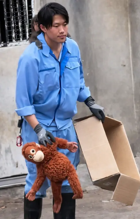 From Loneliness to Love: How One Small Life Found a Home