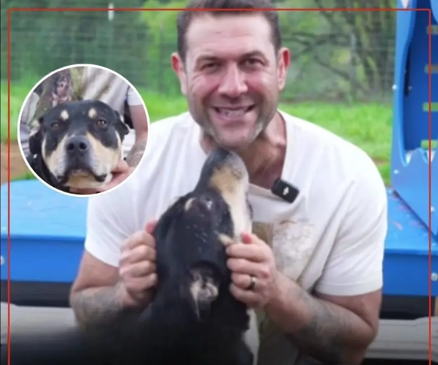 Just 24 Hours From Euthanasia: The Rescue Story That Gave One Dog a Second Chance