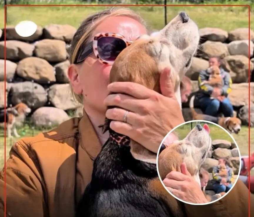 After a Lifetime Inside a Lab Cage, Senior Beagle Feels Sunshine for the First Time