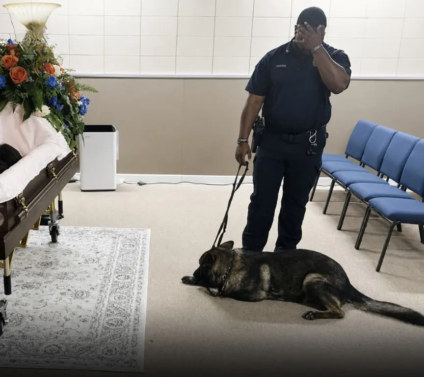 Loyal Until the End: K9 Refuses to Leave Fallen Police Captain’s Casket