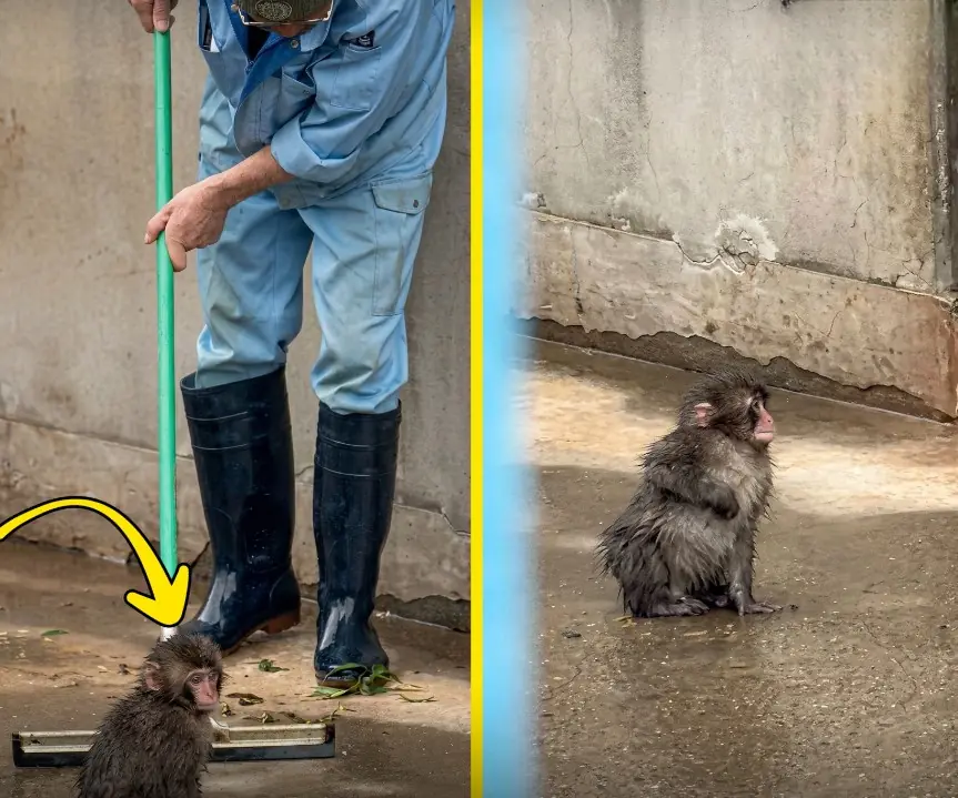 Little Punchy Had the Most Adorable Identity Crisis After Meeting a New Zookeeper