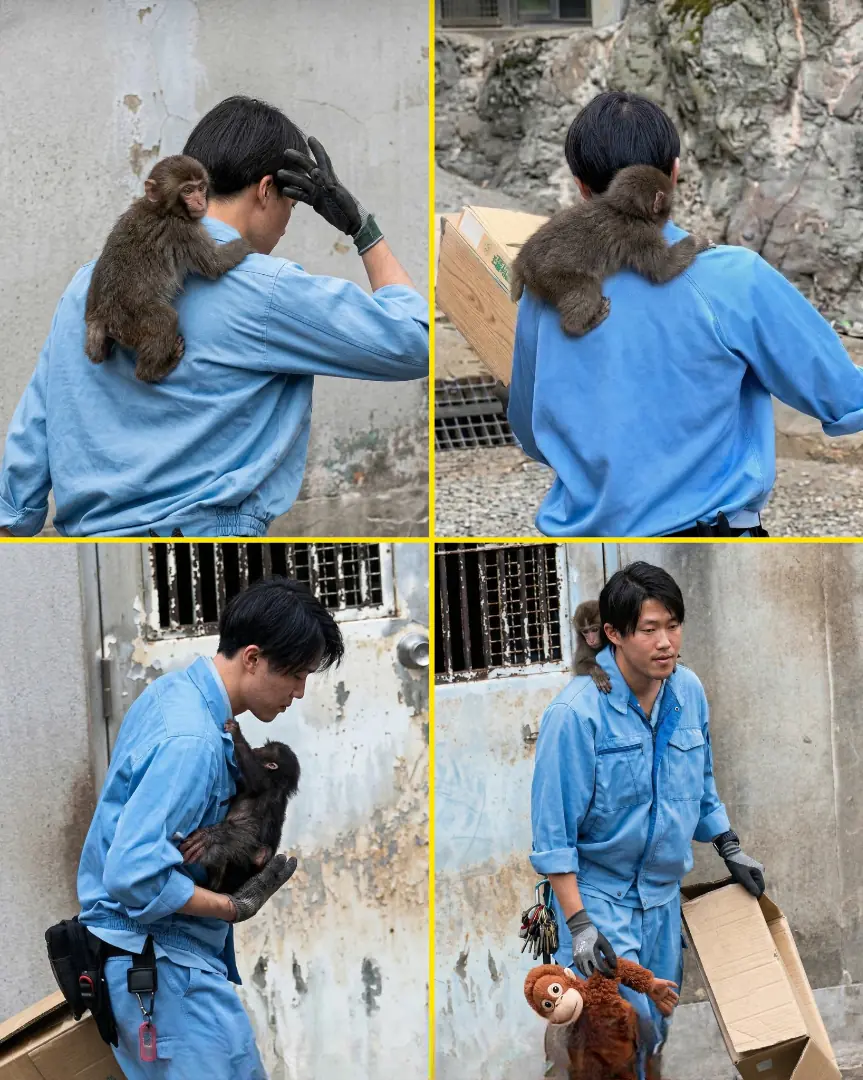 Little Punchy Finally Found The Father He Deserved — And The Internet Is Completely Emotional Over It